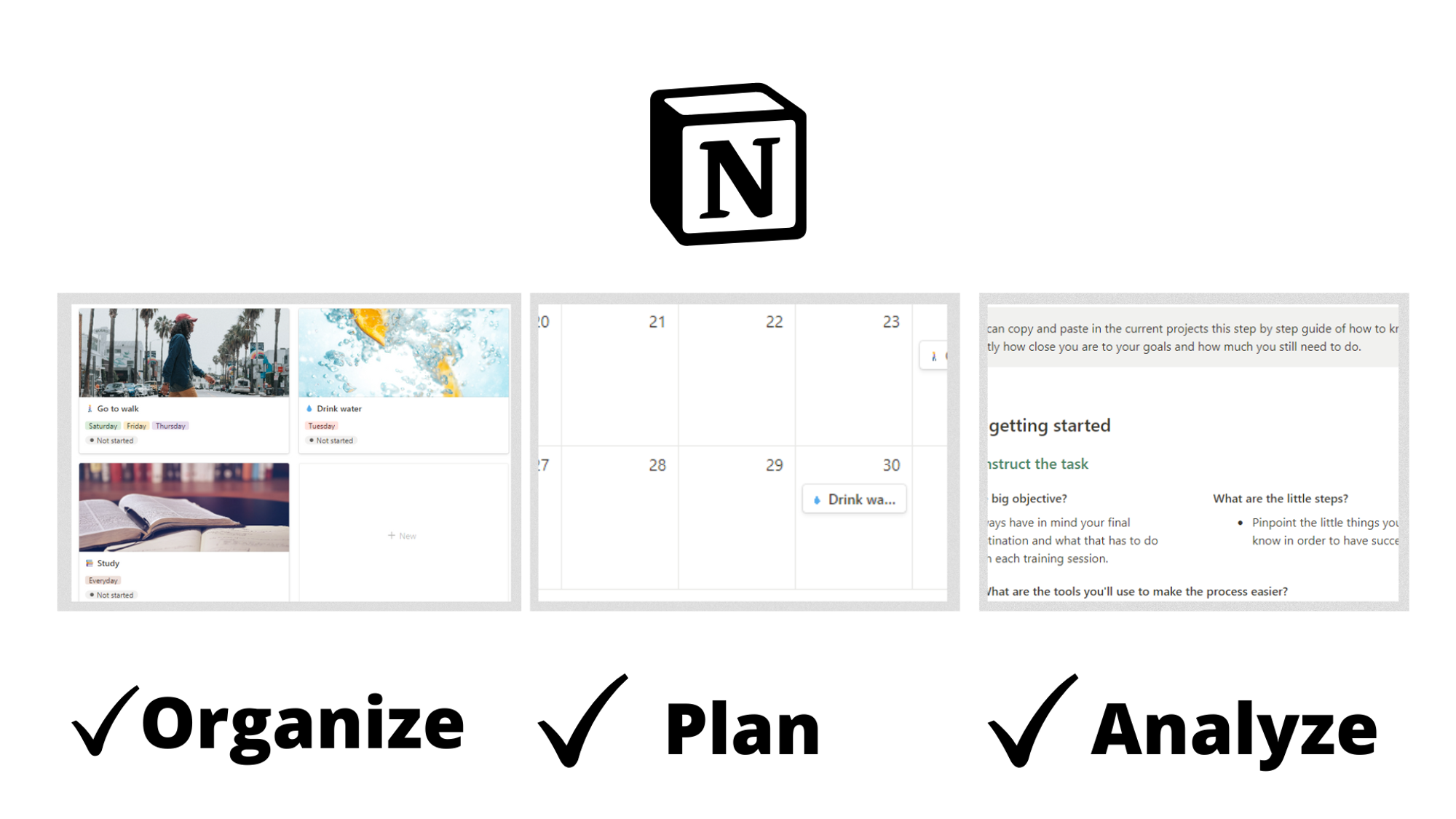 Notion free template.png
