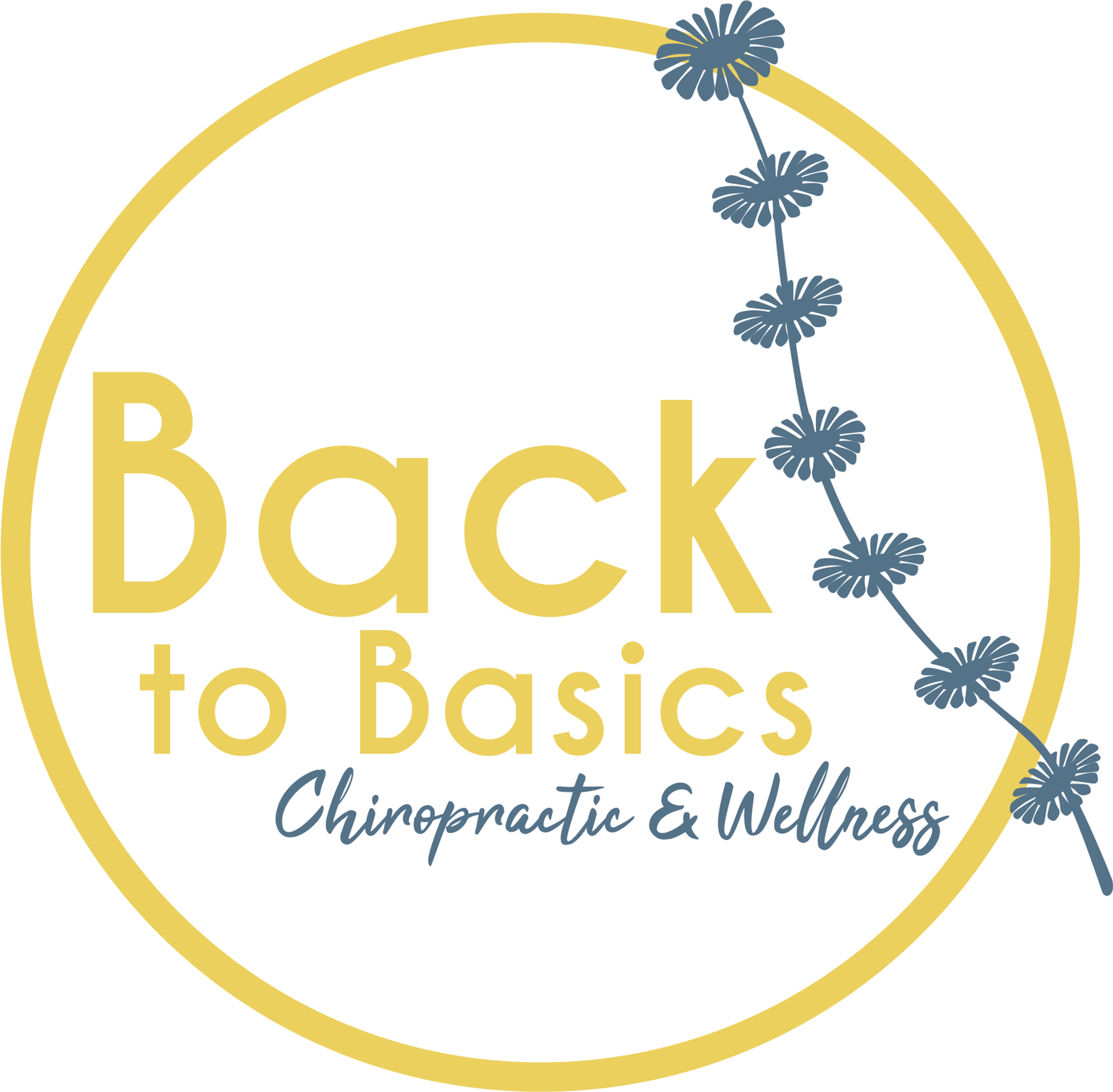 Back to Basics Chiropractic & Wellness