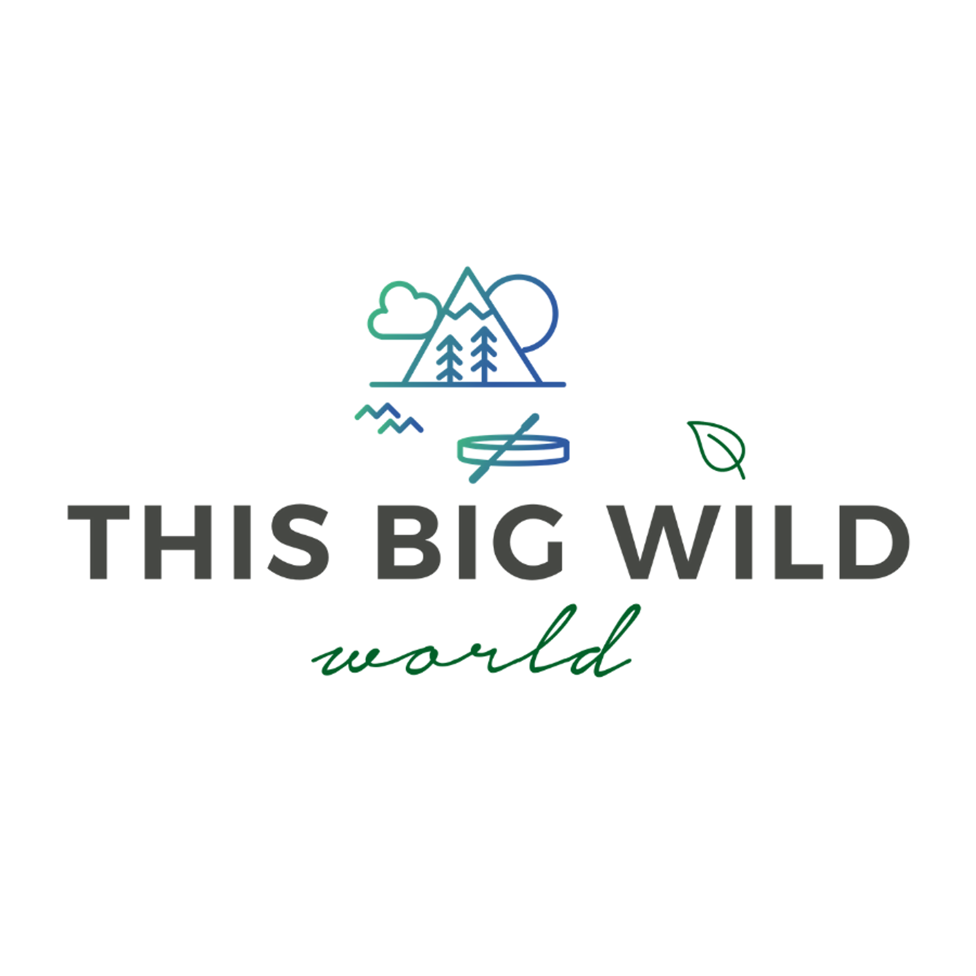 This Big Wild World