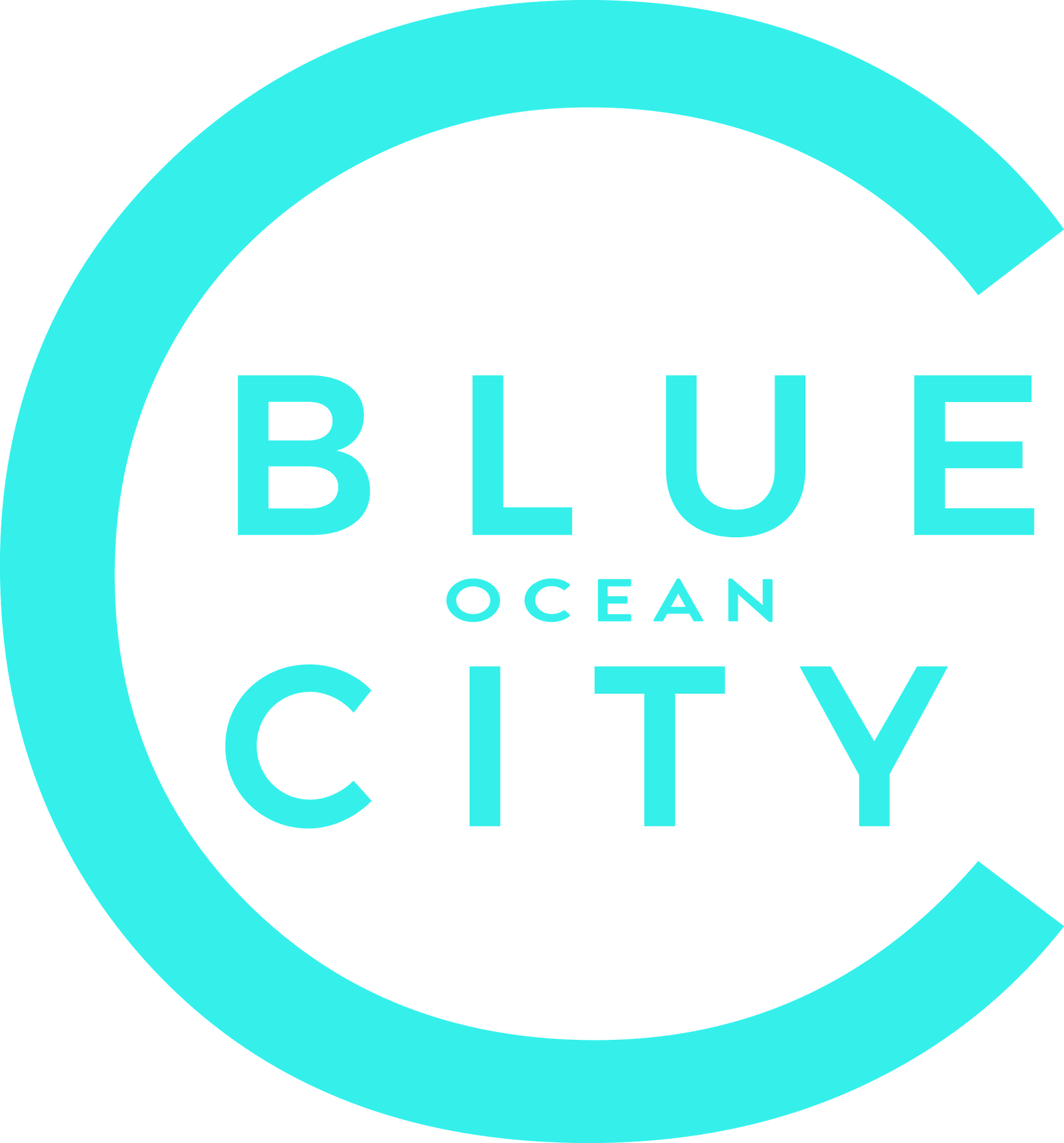 Blue Ocean Advisory Board: