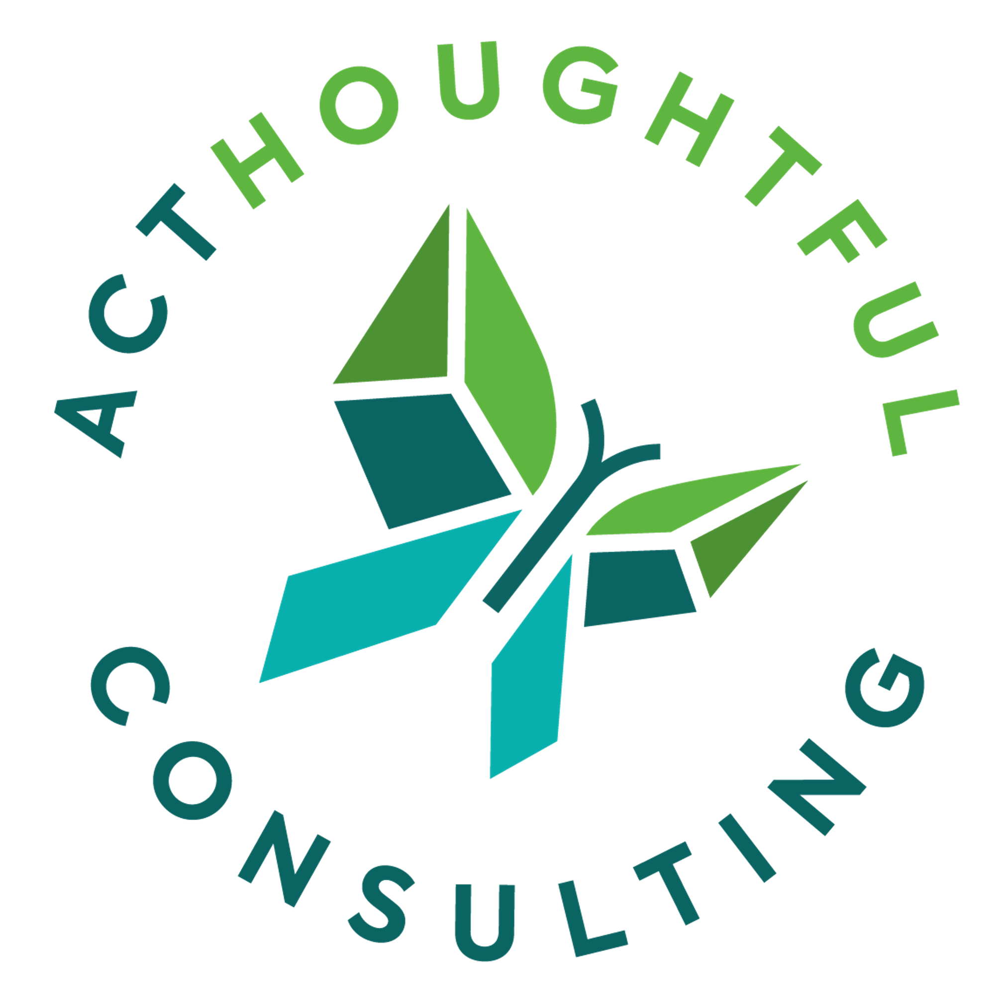ACThoughtful Consulting