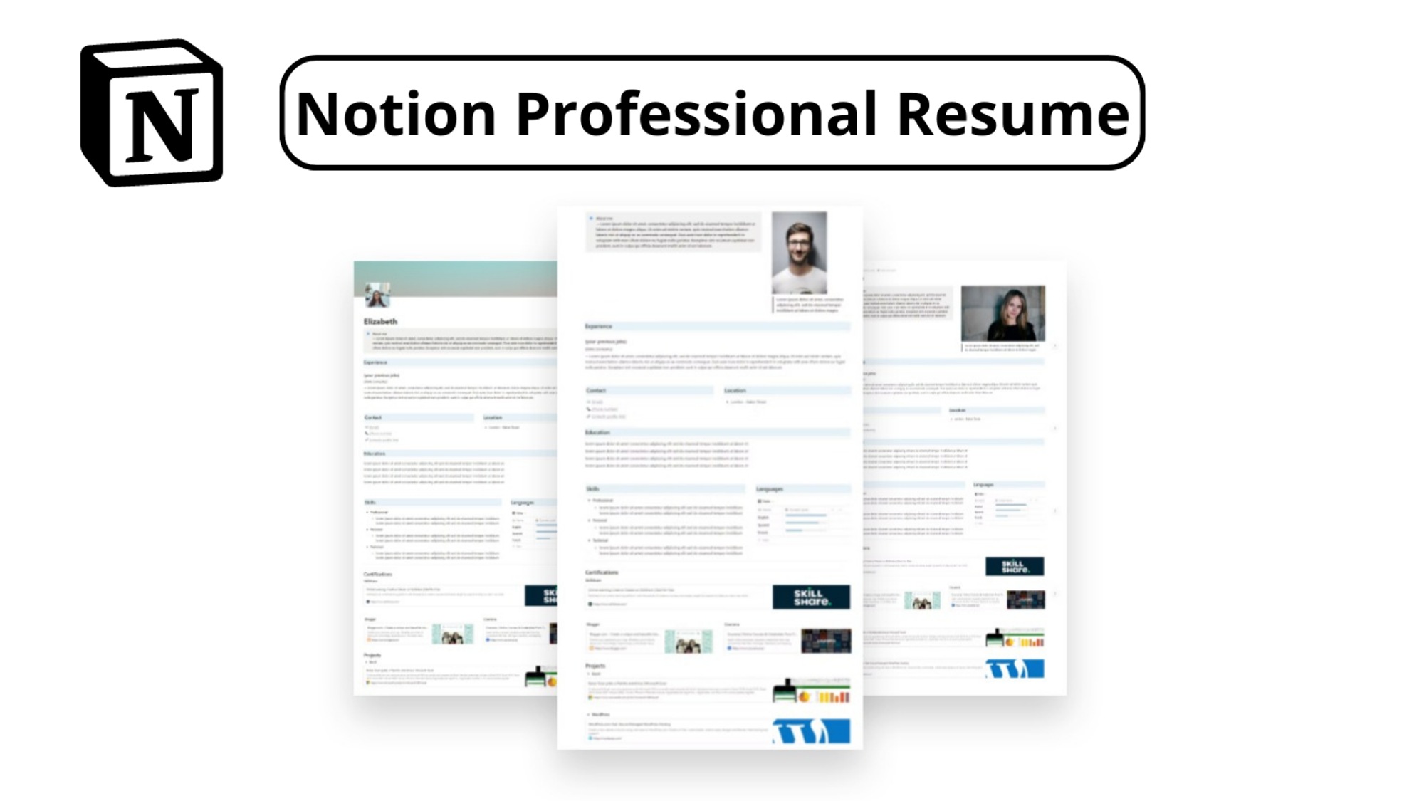 Notion Professional Resume (1).png